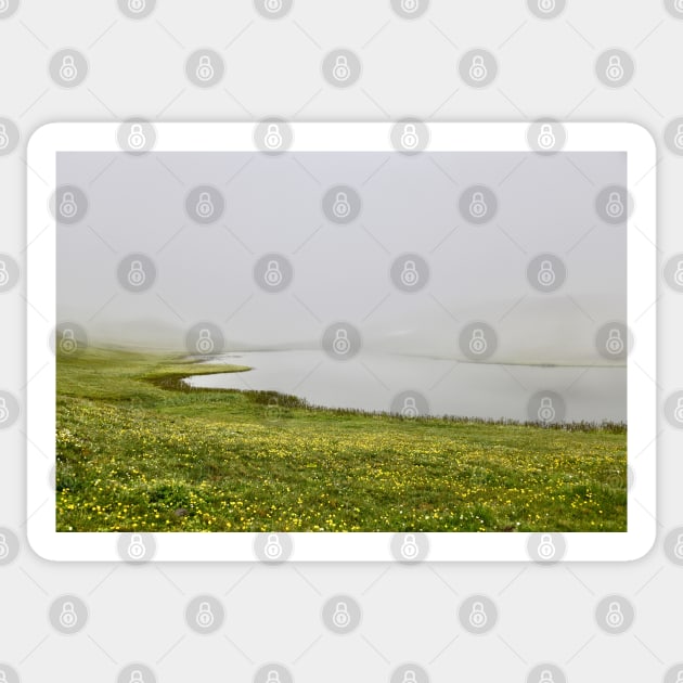 Fog & Lake & Flowers / Swiss Artwork Photography Sticker by RaphaelWolf